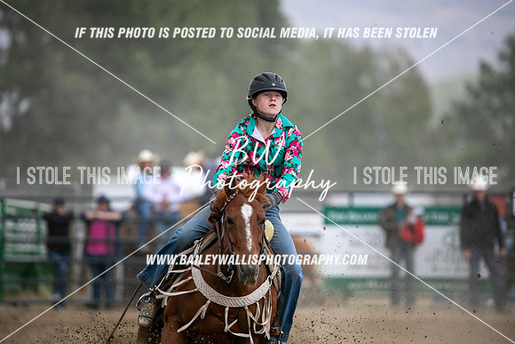 HS1_3959