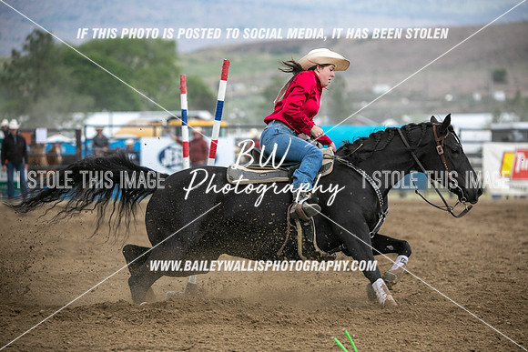 HS1_4119