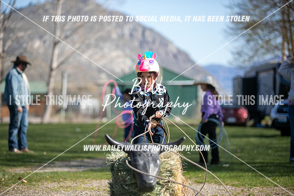 TR2_0337
