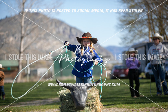 TR2_0223