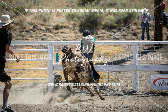 RR1_3798