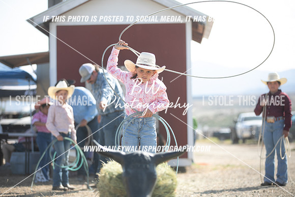 POR_0733