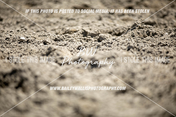 RR1_2649
