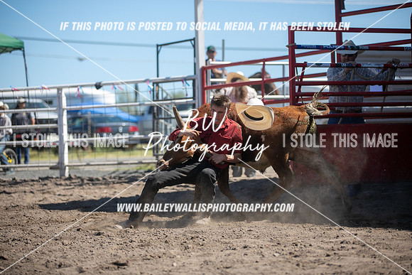 LS2_1121