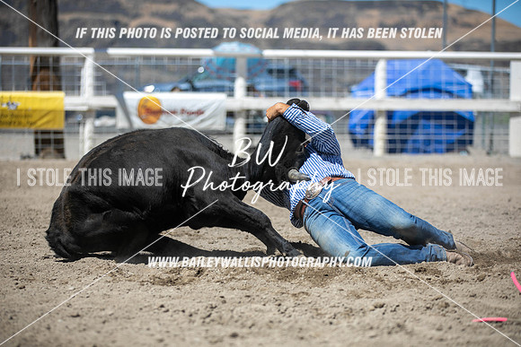 RR1_3907