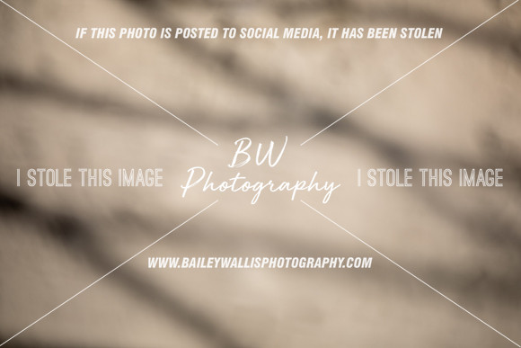 LS2_1108