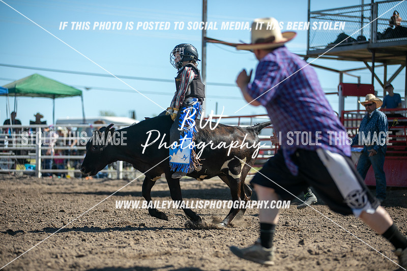 BW Photography | CALF RIDING