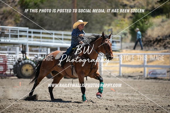 RR1_3357