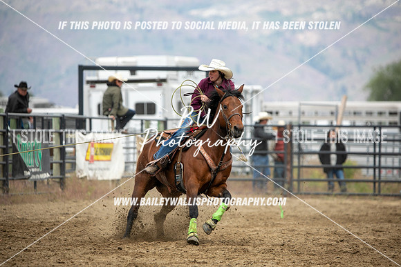HS1_2686