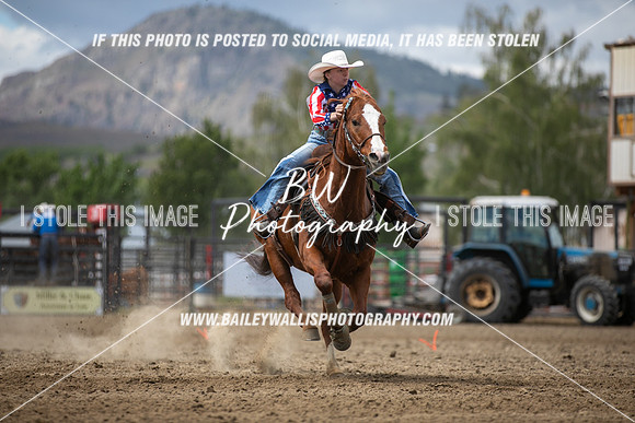 HS2_2218