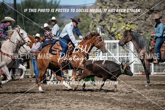 RR1_0937