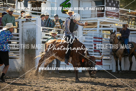 RR2_0397