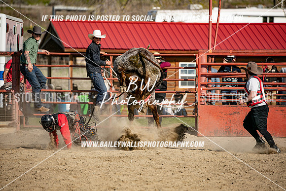 TR1_5611