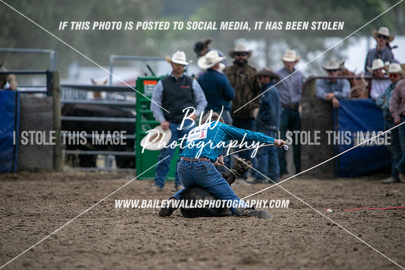 HS2_2901
