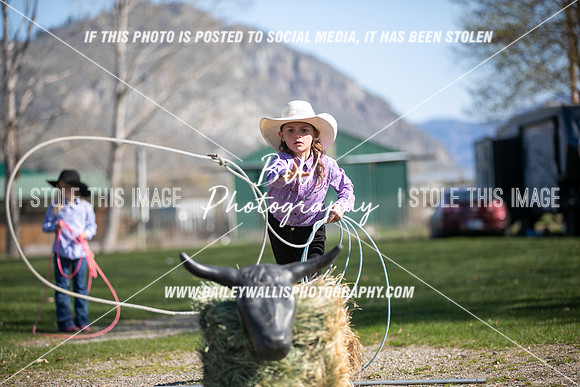TR2_0382