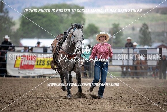 HS2_3227