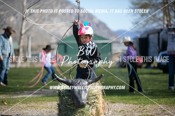 TR2_0333