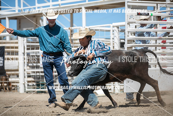 RR1_3883