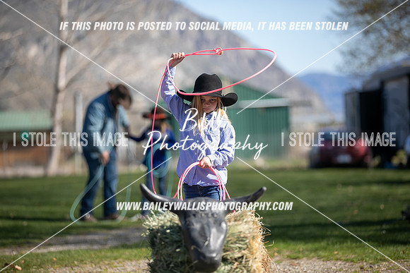TR2_0271