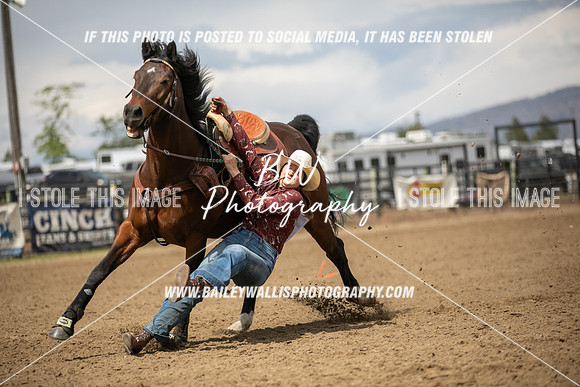 HS1_2992