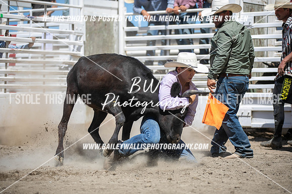 RR1_3926