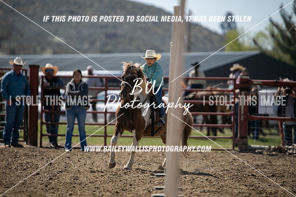 TR2_2859