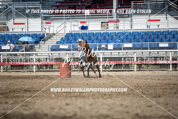 OK1_3486