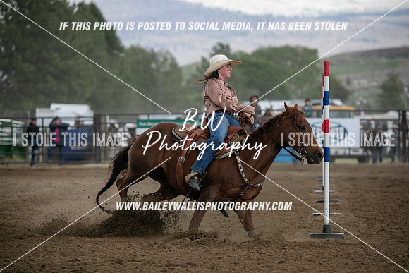HS1_4601