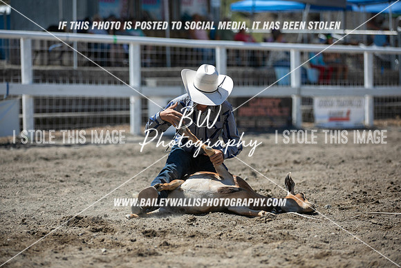 RR2_2907