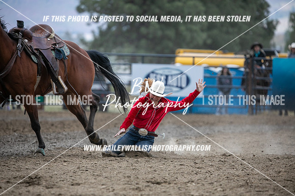 HS2_3198