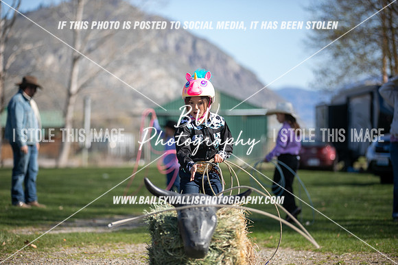 TR2_0336