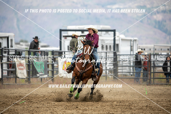 HS1_2685