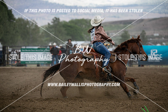 HS1_4602