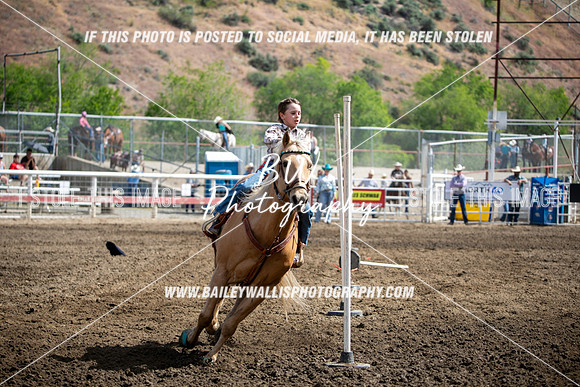 OK1_1743