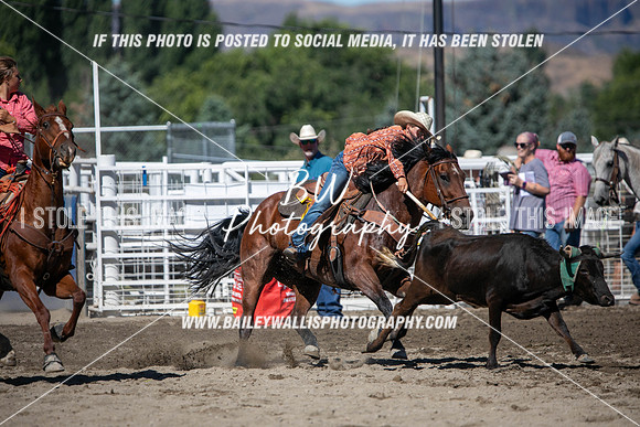 RR1_0786