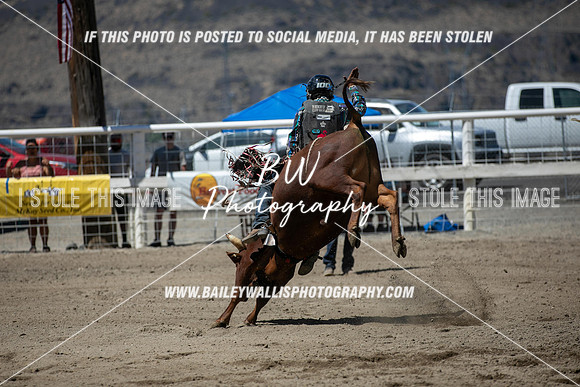 RR2_4487