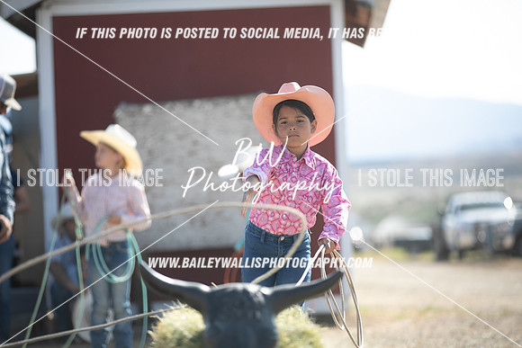 POR_0649