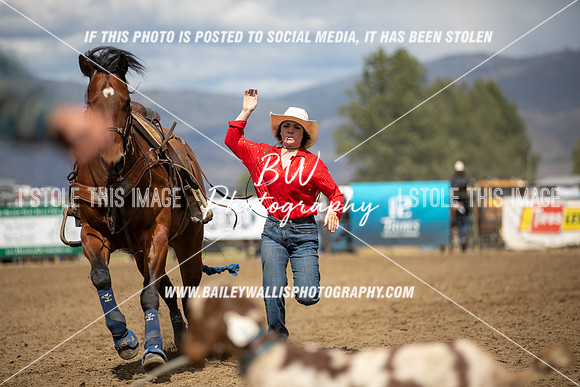 HS1_3015