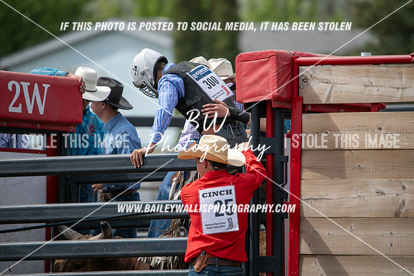 HS1_0449