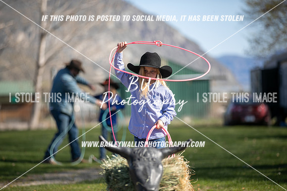 TR2_0268