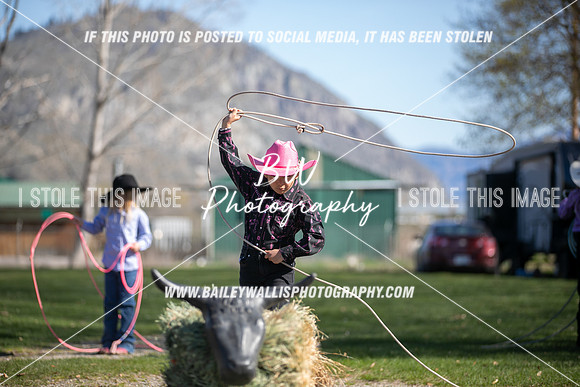 TR2_0433