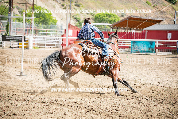 OKJ_1519