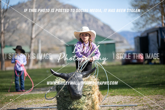 TR2_0383