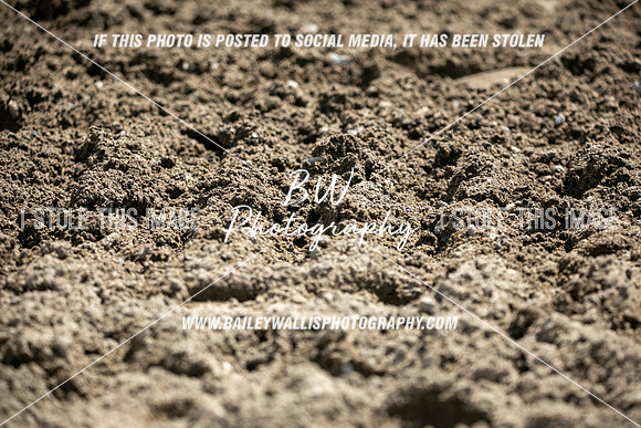 NR1_2606