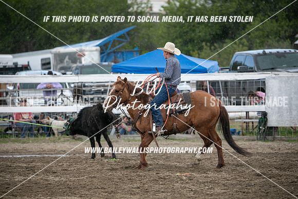 NR2_3536