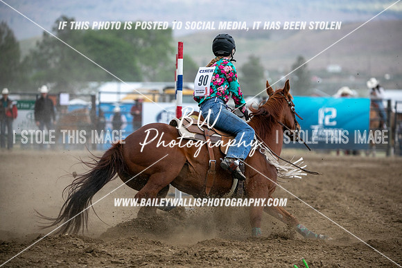 HS1_3962