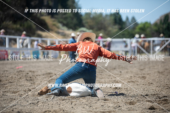 RR2_2737
