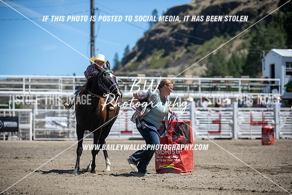RR1_3493