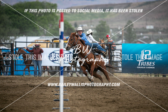 HS1_4193
