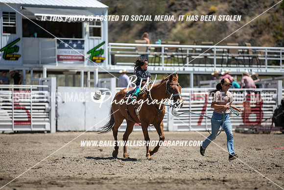 RR1_3519